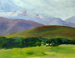 Farm in Wicklow Mountains